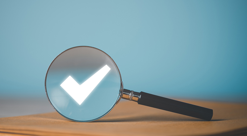 Government Internal Audit Services