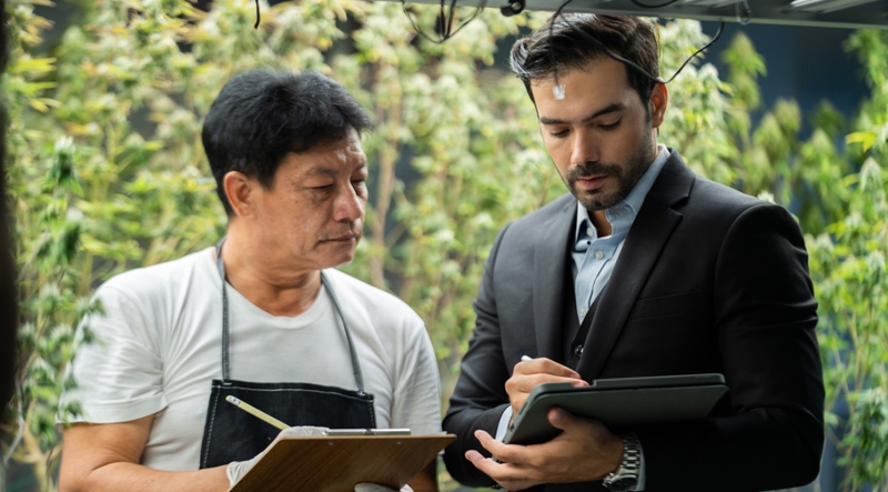 The Pitfalls of the New Michigan Cannabis Excise Tax